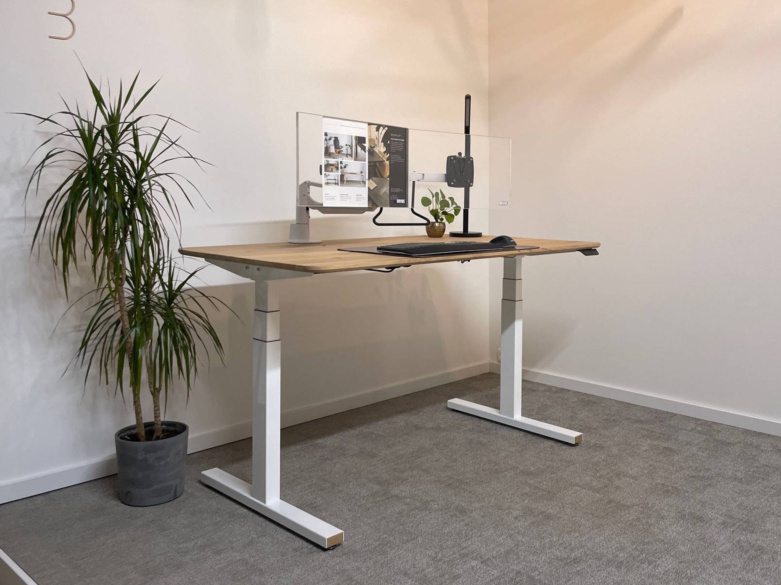 Afbeelding van zit sta bureau met Refine eiken bureaublad