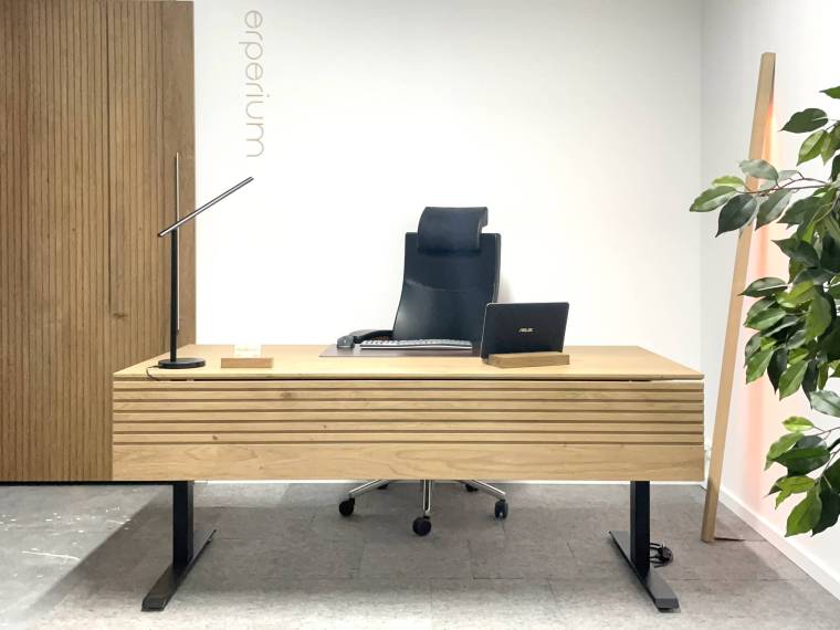 Professional 4 - Director Edge zit sta bureau