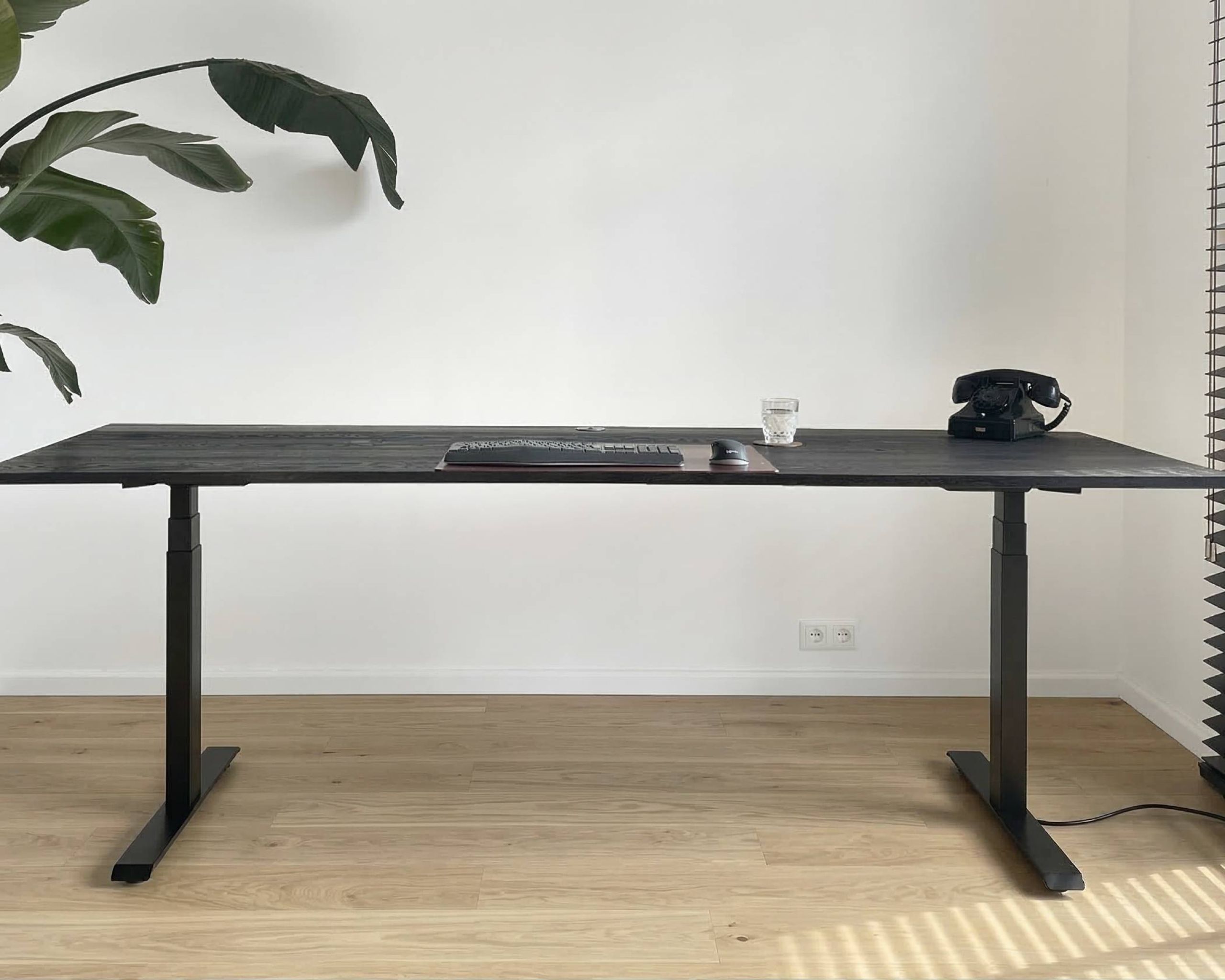 Black edition Professional 4 - The One Karakter